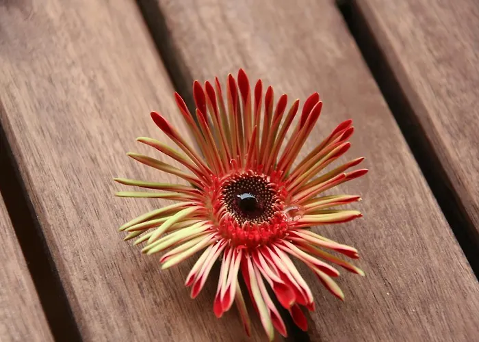 Sole E Girasoli Bed & Breakfast Santa Croce Camerina